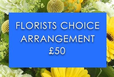 Florists Choice Arrangement