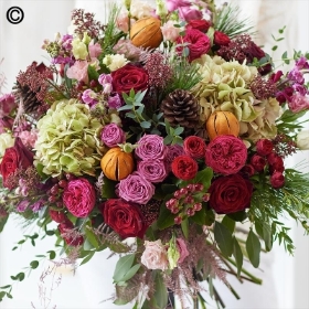 Christmas Flowers