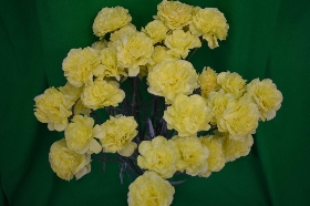 Poly silk Yellow spray carnations