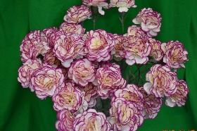 Poly silk white with purple edge spray carnations