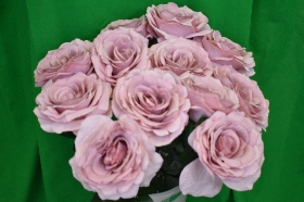Polysilk large open dusty pink roses