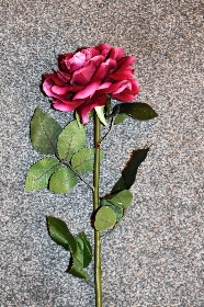Polysilk  large headed Deep Cerise Roses