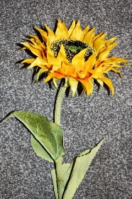 Artificial Sunflowers