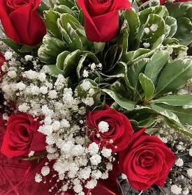 Red roses