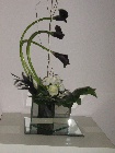 Stylish calla arrangement