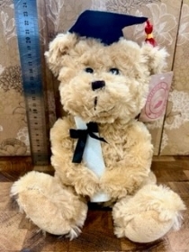 Graduation Teddy bear